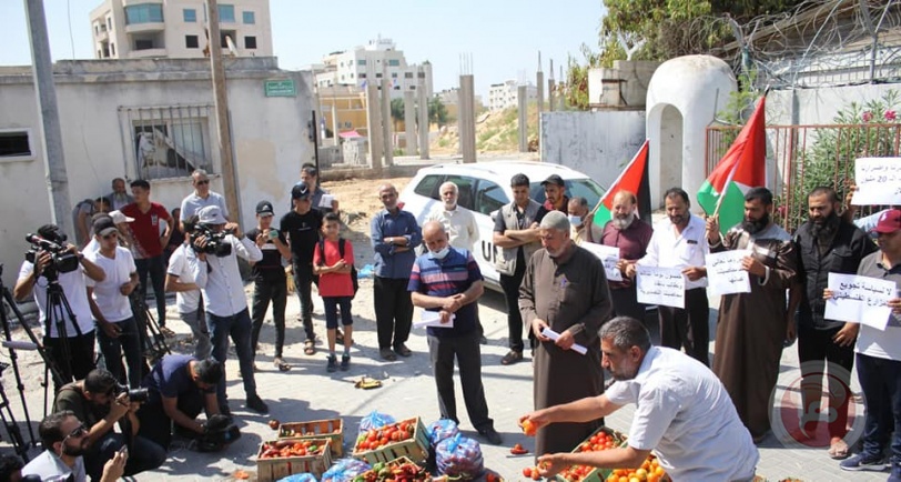 غزة: مزارعون يحتجون رفضاً لاشتراطات الاحتلال على صادراتهم الزراعية