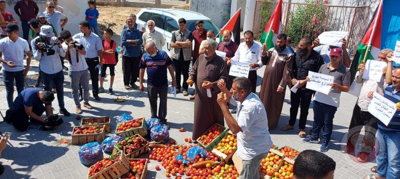 غزة: مزارعون يحتجون رفضاً لاشتراطات الاحتلال على صادراتهم الزراعية