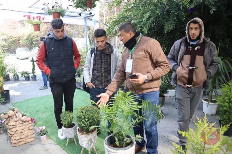 "ربيع بلادي".. مزارعون من غزة يستعرضون مهارتهم في انتاج أصناف بمواصفات عالية