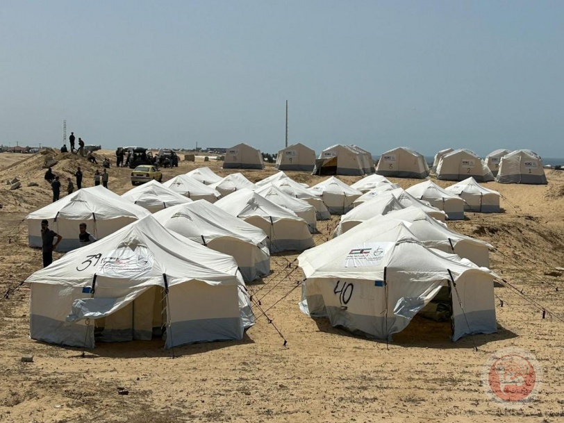 توزيع 84 خيمة على النازحين في محافظة رفح