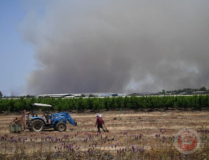 الشمال يحترق: مئات الدونمات مشتعلة نتيجة قصف حزب الله (بالصور)
