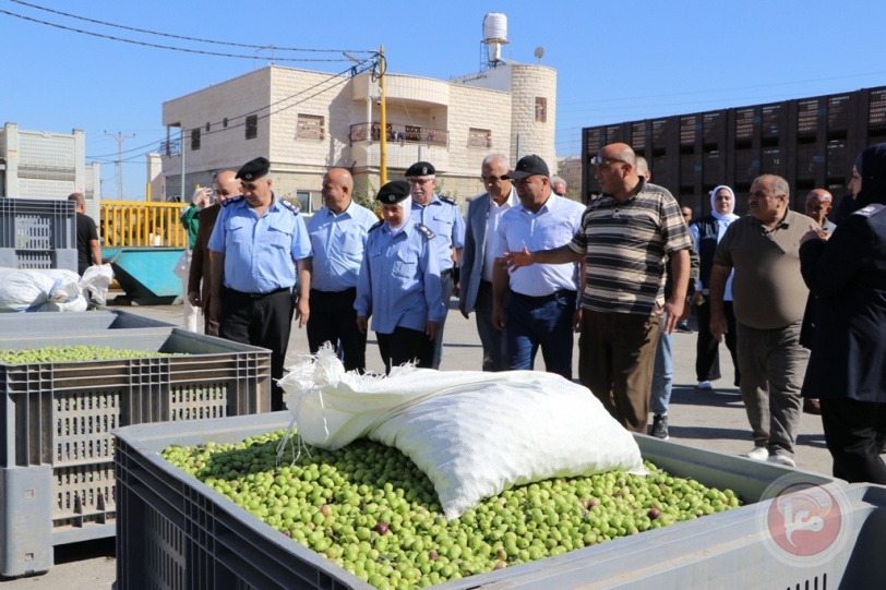 المحافظ دودين: شجرة الزيتون شاهد على تاريخنا ونضال شعبنا الطويل 