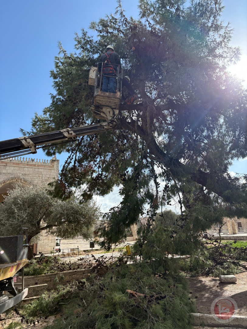 "كهرباء القدس": مسؤولية اجتماعية ودينية حاضرة دائما في خدمة المسجد الاقصى وباحاته