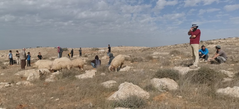 مستوطنون يهاجمون منزلا ويعتدون على رعاة الاغنام جنوب الخليل