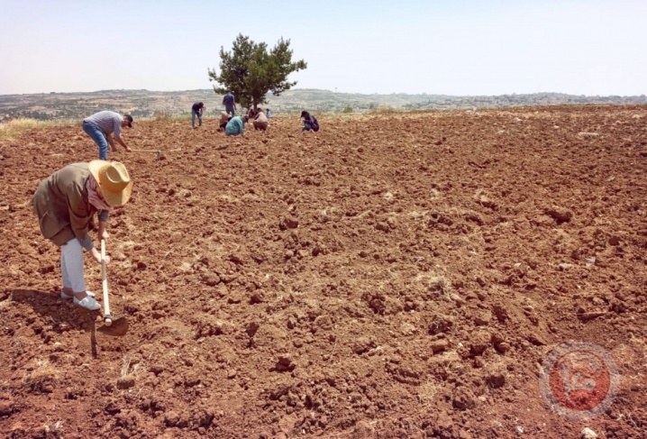 العمل الزراعي وشبكة المنظمات البيئية يعقدان ندوة حول أهمية البذور البلدية في فلسطين 