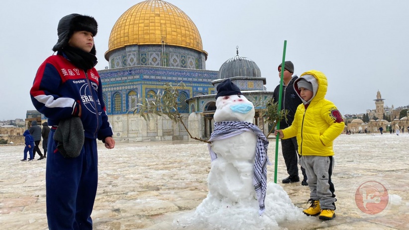 صور- الزائر الأبيض يزين القدس ويبهج أهلها