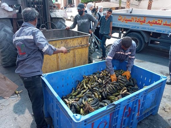 دير البلح: اتلاف كميات من اللحوم والأسماك الفاسدة بدير البلح