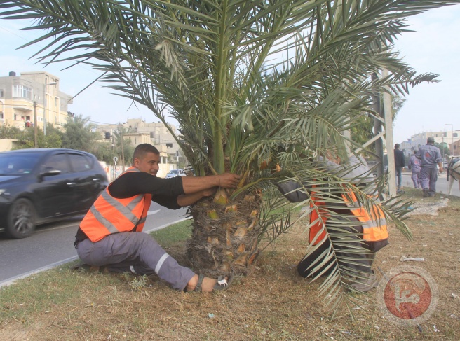 في اليوم العالمي للتطوع- بلدية دير البلح تطلق فعاليات حملة &quot;بيدنا غزة جميلة&quot;