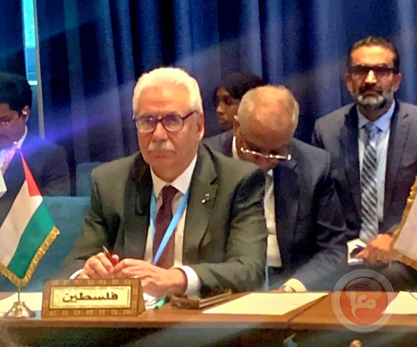 Arab health ministers adopt a resolution to support the Palestinian health sector