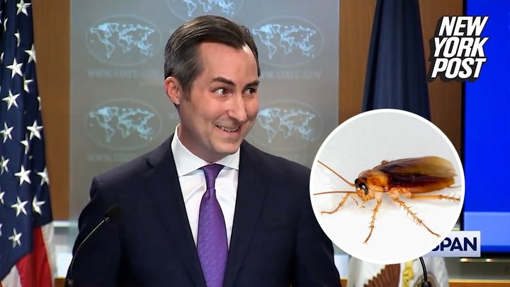 A cockroach interrupts the US State Department spokesman's conference