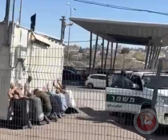 اعتقال 41 فلسطينيا عند حاجز زعيم- تنكيل واحتجاز تحت اشعة الشمس