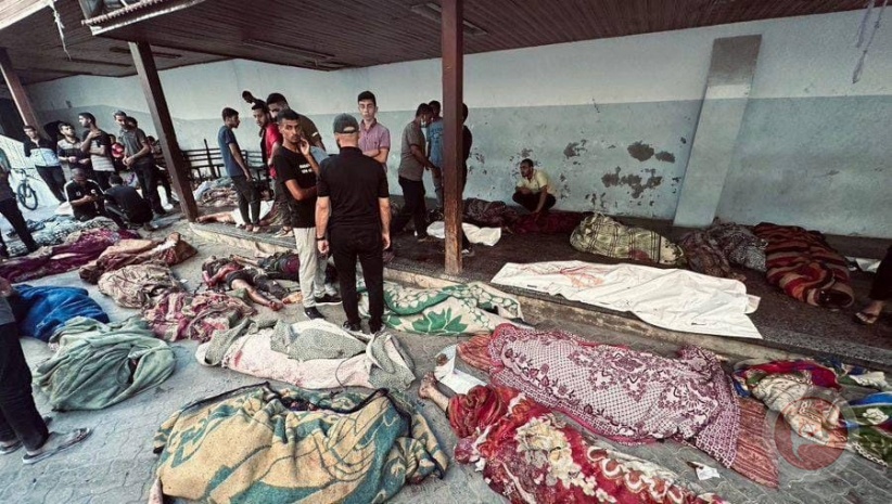 3 massacres - 45 martyrs in 24 hours in Gaza