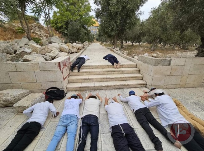 169 settlers storm and pray in Al-Aqsa