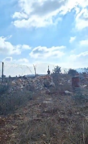 Settlers cut down olive trees and damage fence in Rojib lands