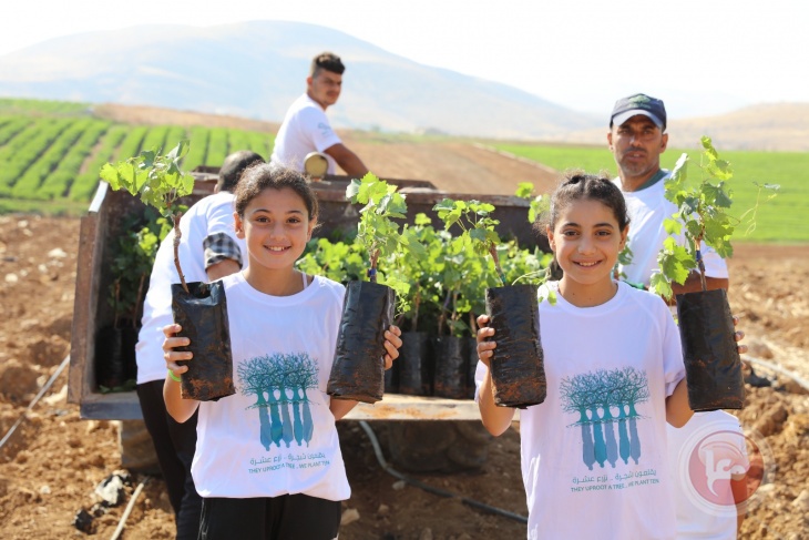 “Bahraini seedlings” planted by the Arab Society for the Protection of Nature on 145 dunums in Palestine