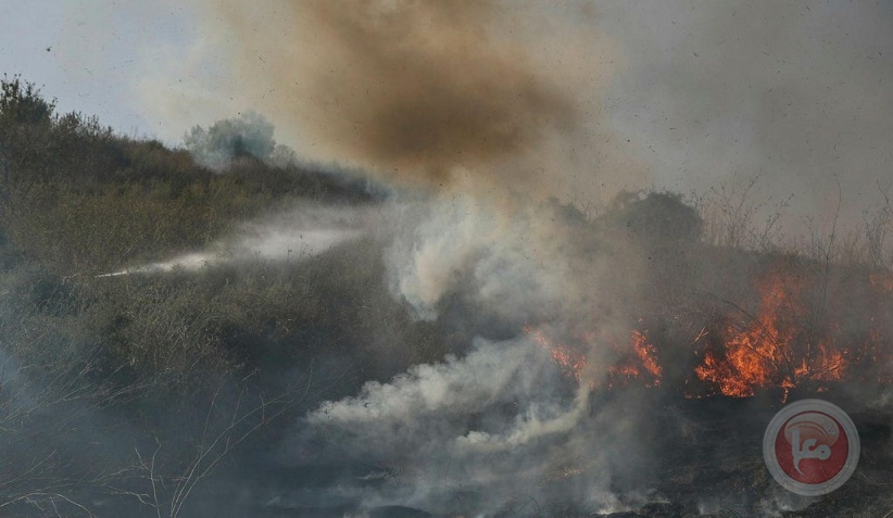 Israeli army admits several soldiers injured after drone falls in Golan