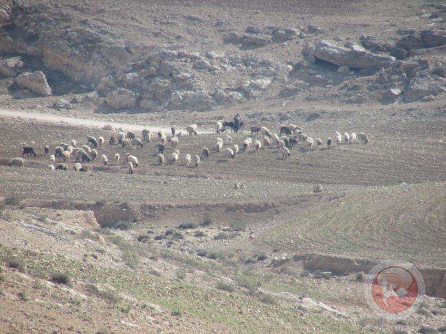 الاحتلال يعتقل 5 مواطنين من مسافر يطا جنوب الخليل