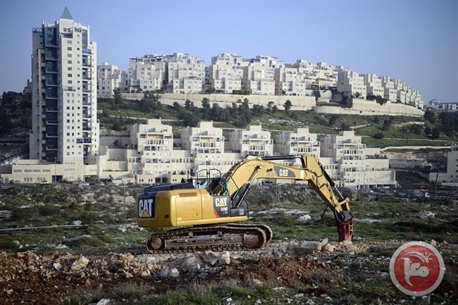Report: Settlement expansion in response to recognition of the State of Palestine reflects the occupation’s predicament