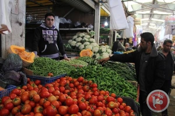 زراعة غزة توقف تصدير الطماطم إلى اسرائيل