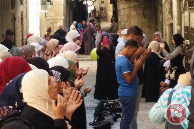 التواجد في الأقصى.... &quot; ارهاب يحاكم عليه قانون الاحتلال&quot;