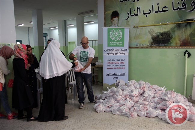 &quot;الأعمال الخيرية&quot; تخصص 4 آلاف أضحية لفقراء شعبنا