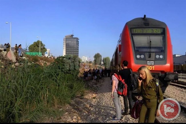 حدث في حيفا.. شر البلية ما يضحك