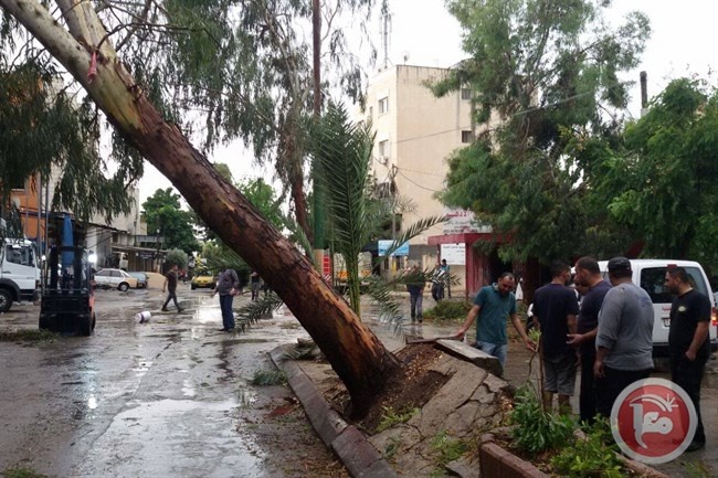 صور- الامطار مستمرة حتى نهاية الاسبوع وتنقذ المزارعين