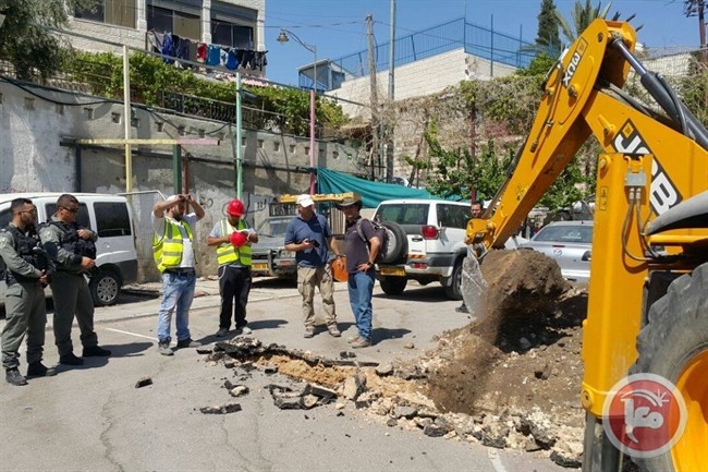 الاحتلال يجري حفريات داخل ملعب وادي حلوة بسلوان