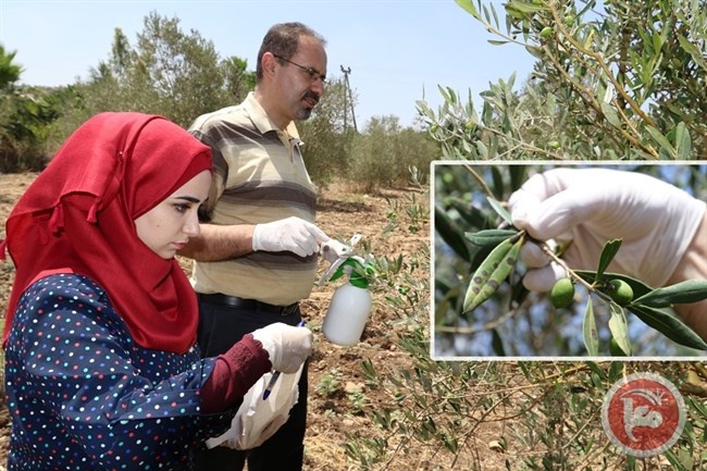 جامعة خضوري تفوز بجائزة الباحث العربي المتميز