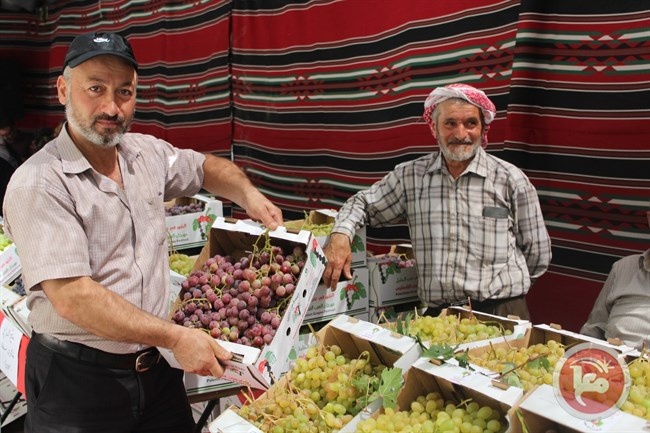 البلدة القديمة تحتضن مهرجان العنب الفلسطيني