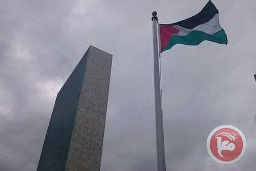 رمزي رباح يرّحب بتصويت الأمم المتحدة لصالح فلسطين 