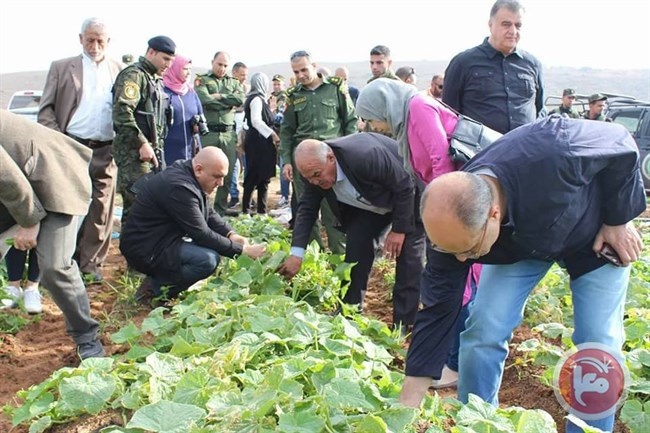 سعد: يتفقد المزارعين في منطقة الأغوار