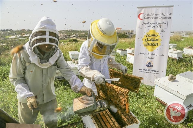 الهلال الاحمر القطري ينفذ مشروع تمكين الأسر في القدس