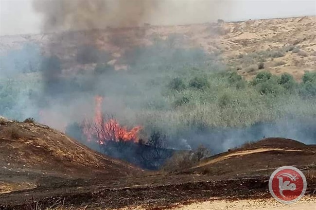 إطلاق نار على المتظاهرين- حريق كبير قرب &quot;موقع كيسوفيم&quot;