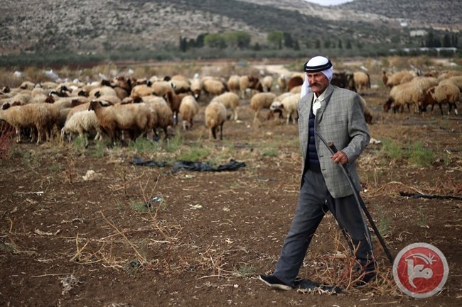 الخارجية الامريكية : ضم الضفة يجب ان يكون من خلال حوار فلسطيني اسرائيلي 