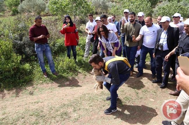 محميات فلسطين وجودة البيئة يبدآن التحضير لمعرض محميات الطبيعة