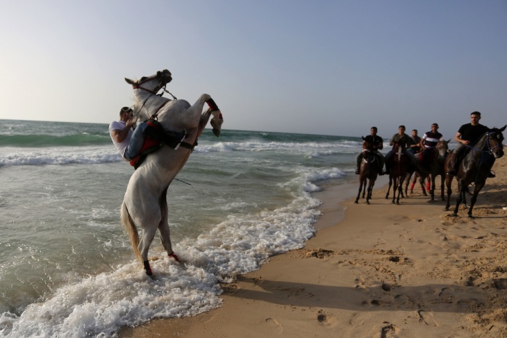 الطقس: جو صاف وارتفاع على الحرارة