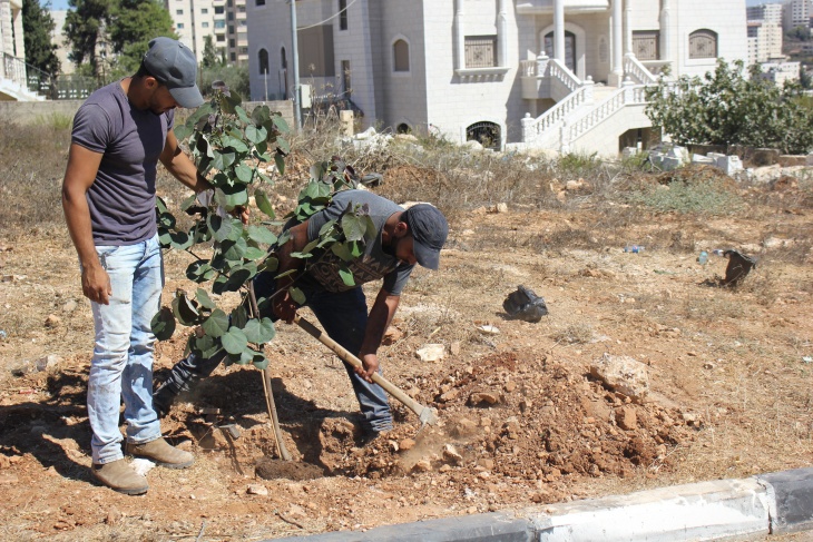 بلديــة بيتونيا تُباشر مشروع تخضير المديـنة وتدعو المؤسـسات لدعمه