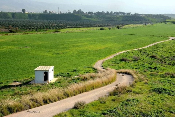 الخارجية تهنئ الاردن بمناسبة فرض السيادة على الباقورة والغمر